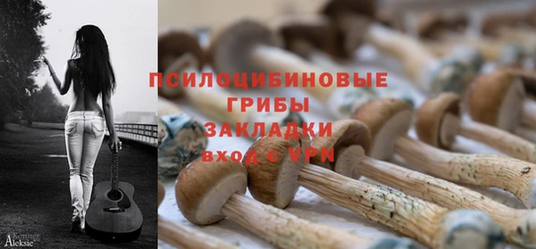 винт Верхний Тагил