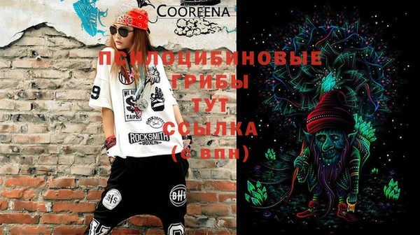 PSILOCYBIN Бронницы
