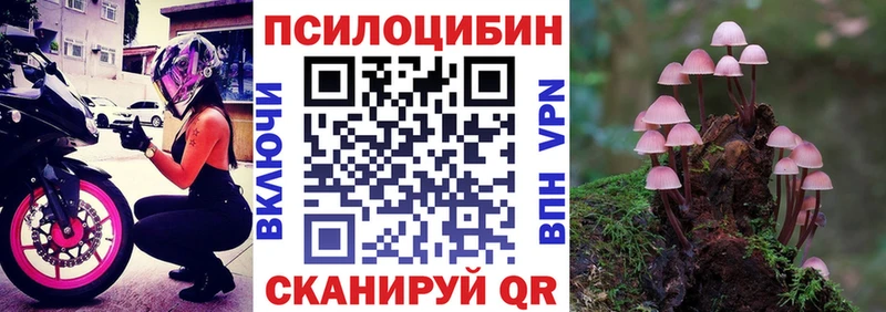Галлюциногенные грибы Magic Shrooms  как найти наркотики  Истра 
